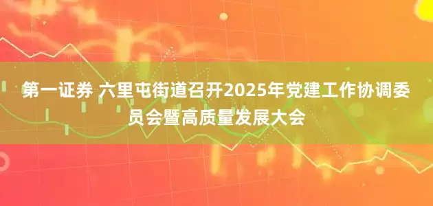 第一证券 六里屯街道召开2025年党建工作协调委员会暨高质量发展大会
