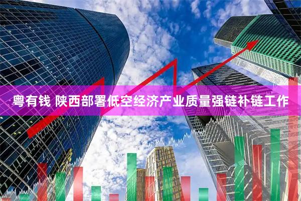 粤有钱 陕西部署低空经济产业质量强链补链工作