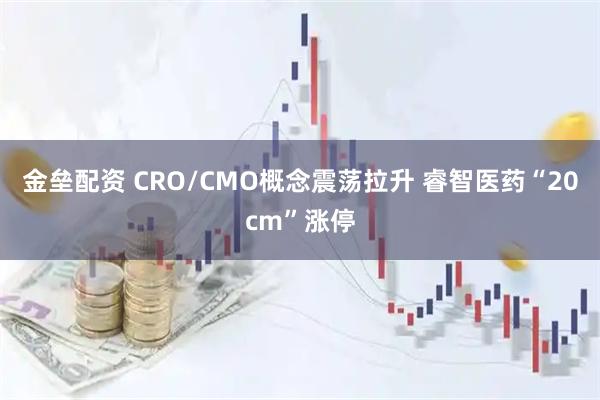 金垒配资 CRO/CMO概念震荡拉升 睿智医药“20cm”涨停